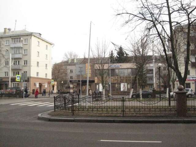 Апартаменты Apartment on Pobedy 17 Гомель-15
